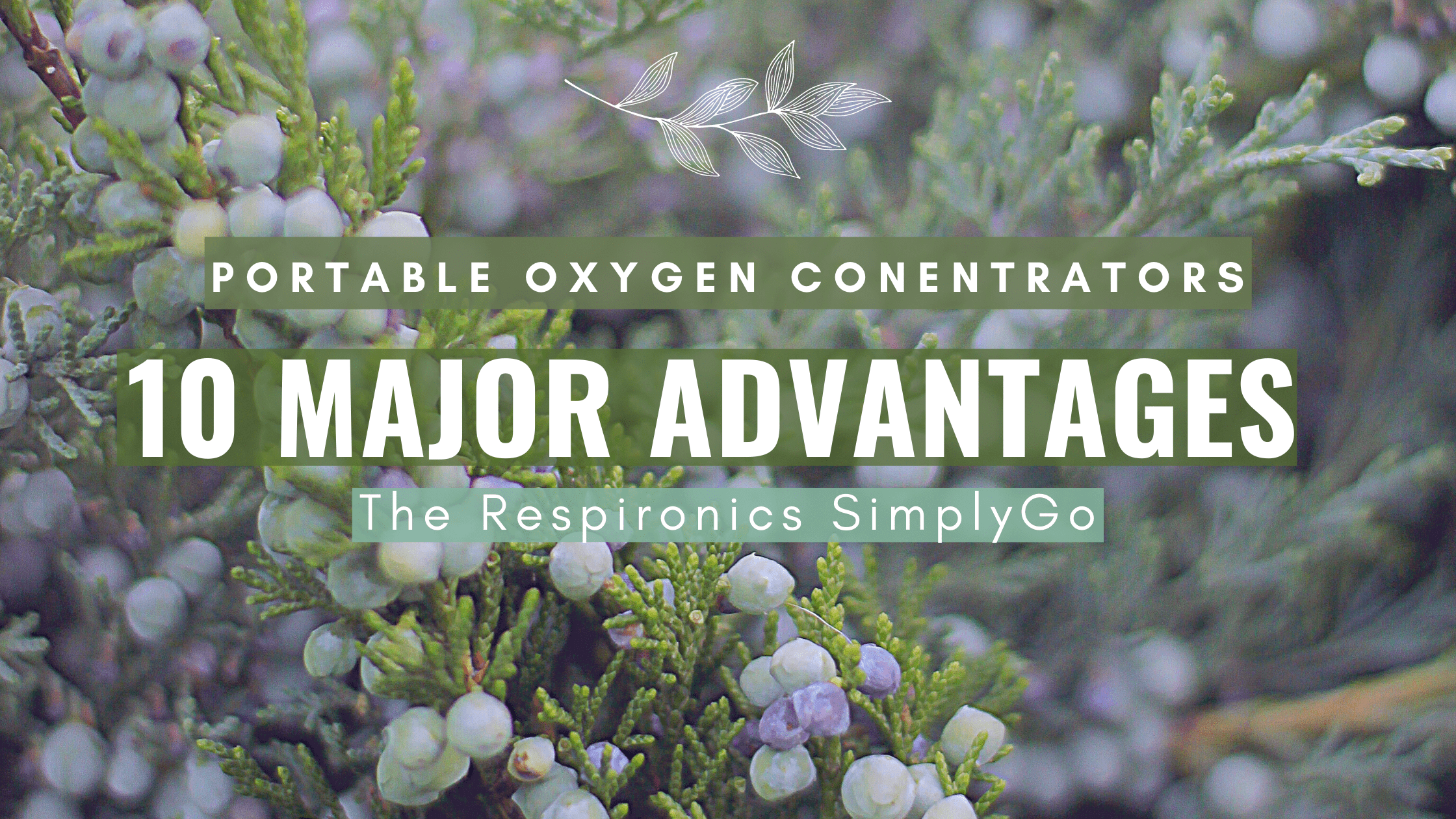 10 Major Advantages (1)-png-1