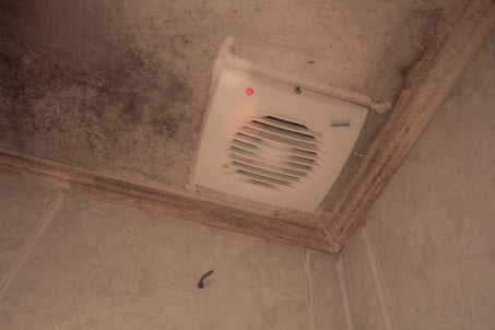 Bathroom-mold