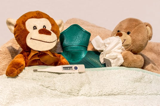 cold-rest-toy-teddy-bear-textile-duvet-1203560-pxhere.com