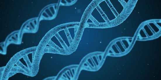 DNA technology