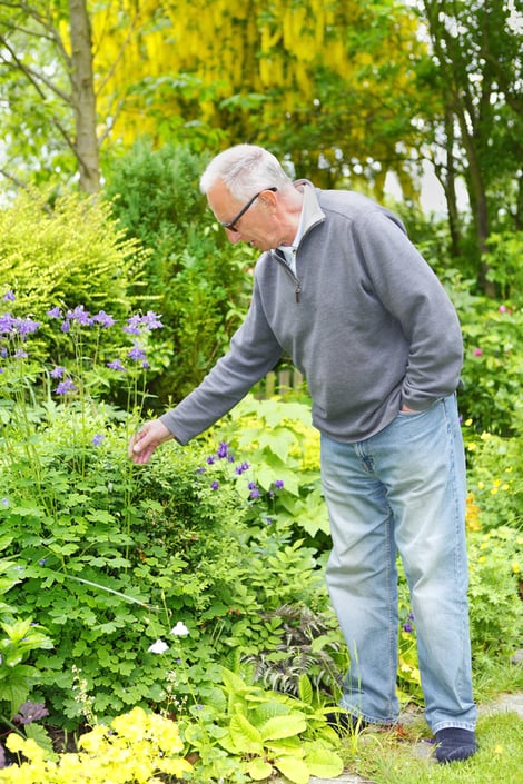 gardening 