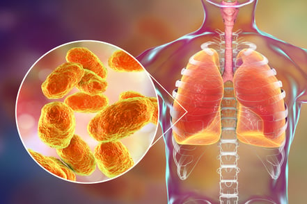 Infection in the lungs.