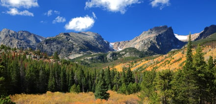 Mountains and forest