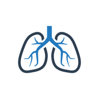 Clipart of human lungs