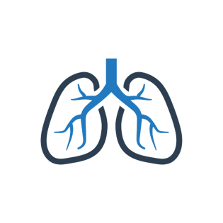 Lungs