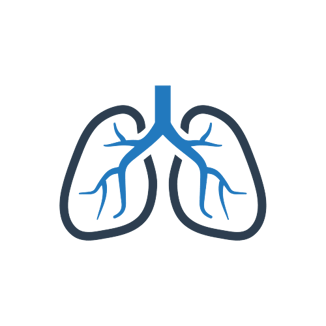Human lungs