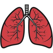 Symbol of the lungs