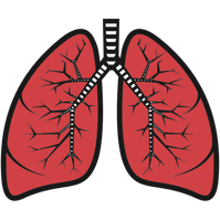 Lungs