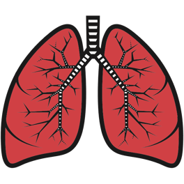 Lungs