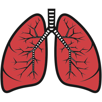 lungs--publicdomainvectors-image