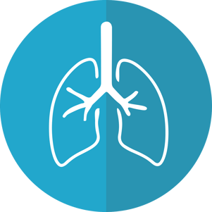 lungs-2803208_1280