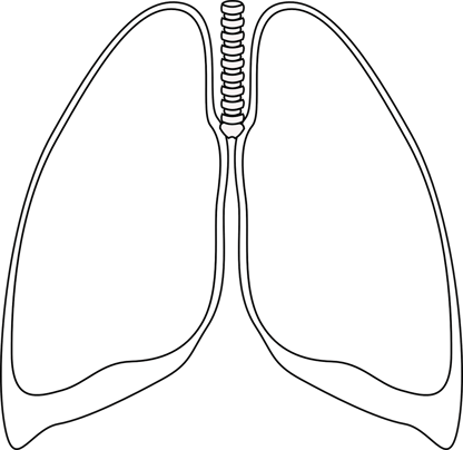 lungs-308055_1280