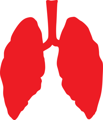 lungs-3464515_1920-1