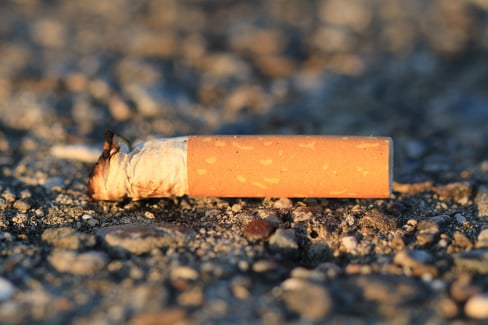 nature-photography-leaf-old-smoking-food-1163859-pxhere.com