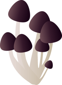 Fungal pneumonia