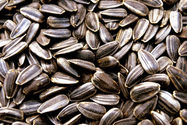 Sunflower seeds