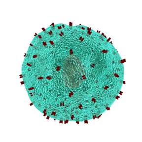 Infection in the lungs