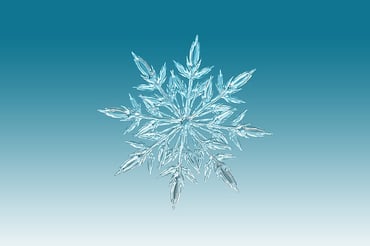 Snowflake ice crystal