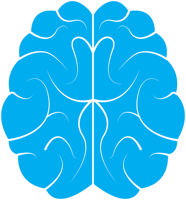 www.maxpixel.net-Design-Icon-Symbol-Idea-Human-Brain-Background-1710293