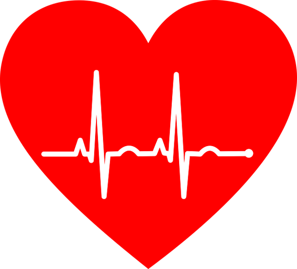 www.maxpixel.net-Ekg-Art-Electrocardiogram-Heart-Love-Romance-2069872